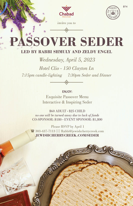 Pesach/Passover 3